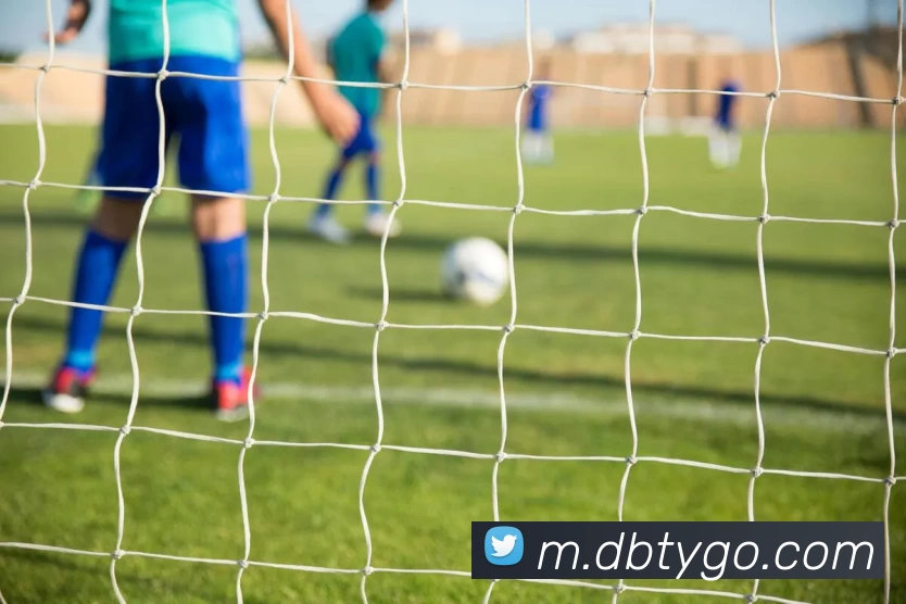 多宝体育发展历程